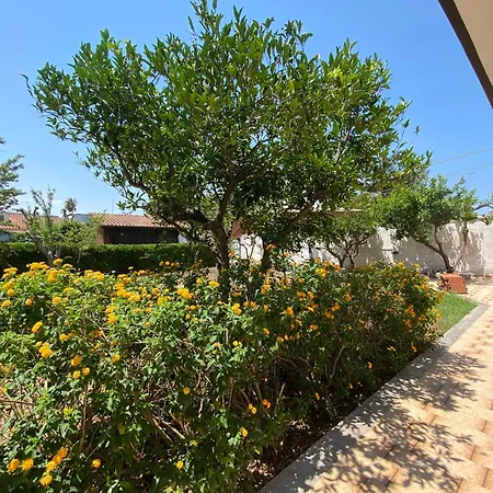 A Casa Di Alfredo Depandance In Βίλα *